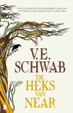 De heks van Near - YA fantasy 2025 cover De heks van Near